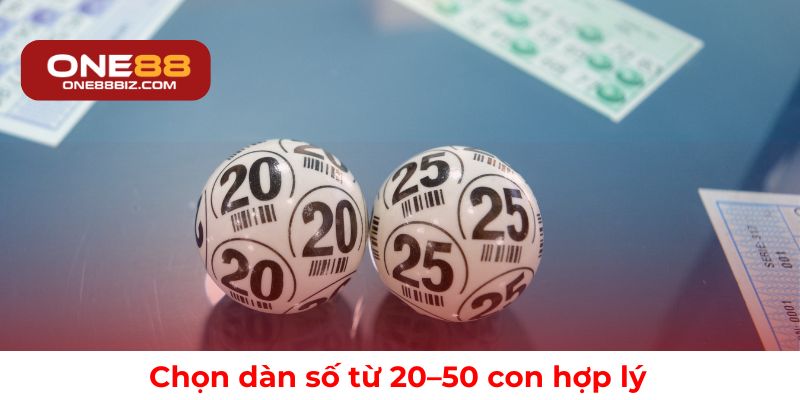 Cách chọn dàn số 20–50 con một cách hiệu quả và hợp lý