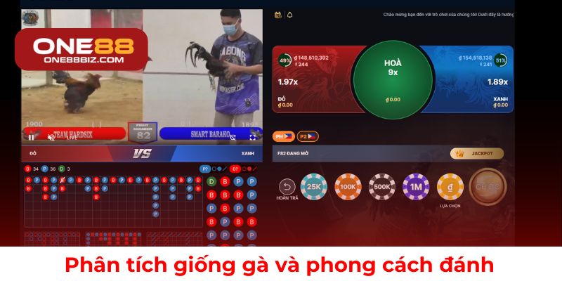 Đặc điểm giống gà và phong cách thi đấu