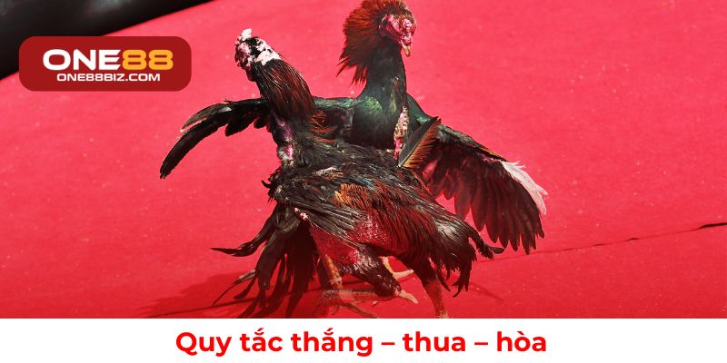 Nguyên tắc xác định kết quả thắng thua trong đá gà