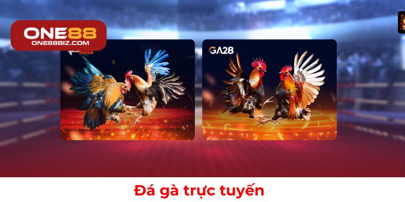Trò chơi đá gà online kịch tính và hấp dẫn