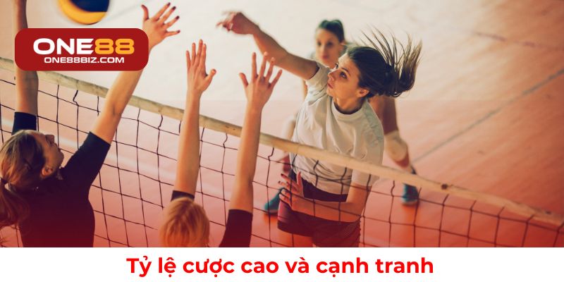 Mức cược hấp dẫn với tỷ lệ cạnh tranh trên thị trường