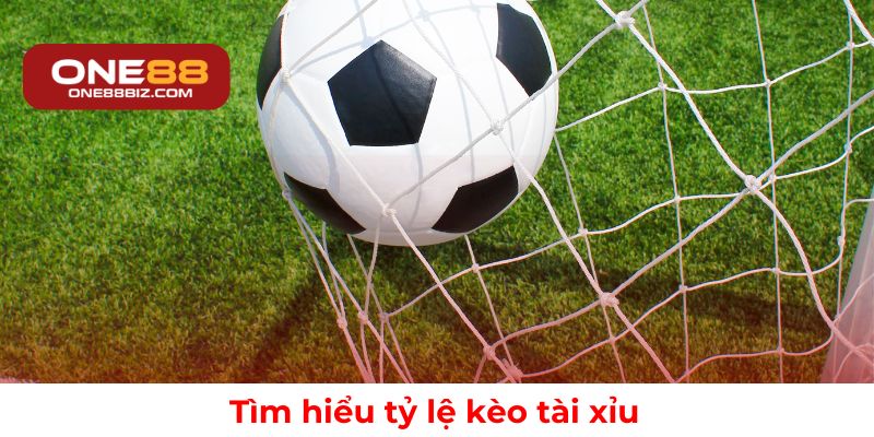 Tìm hiểu về tỷ lệ kèo tài xỉu và cách áp dụng khi đặt cược